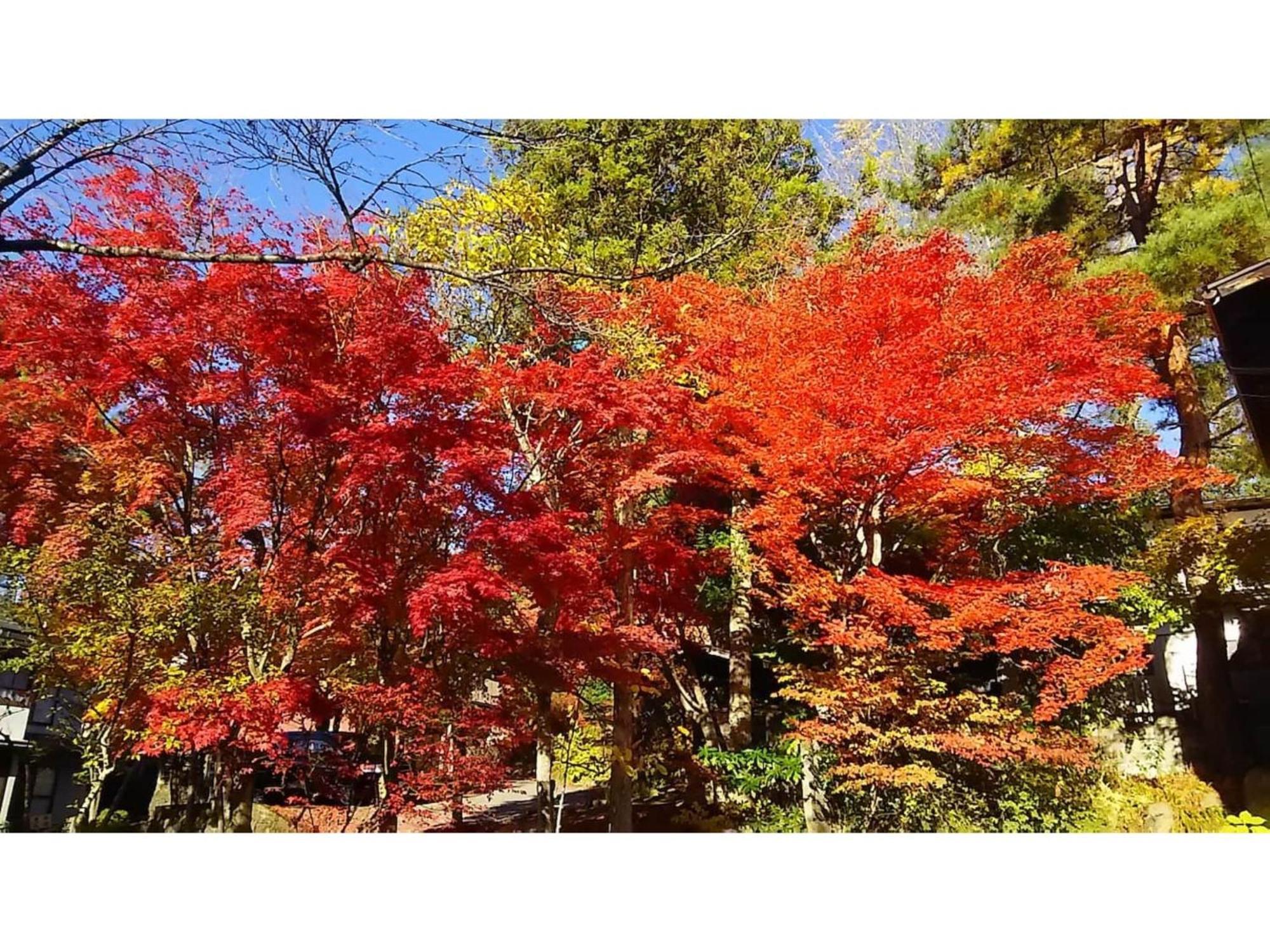 Tomareru Sento Taka No Yu - Vacation Stay 00556V 高山 外观 照片